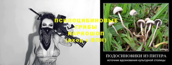 первитин Алексин