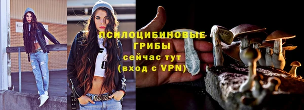 МДПВ Алзамай